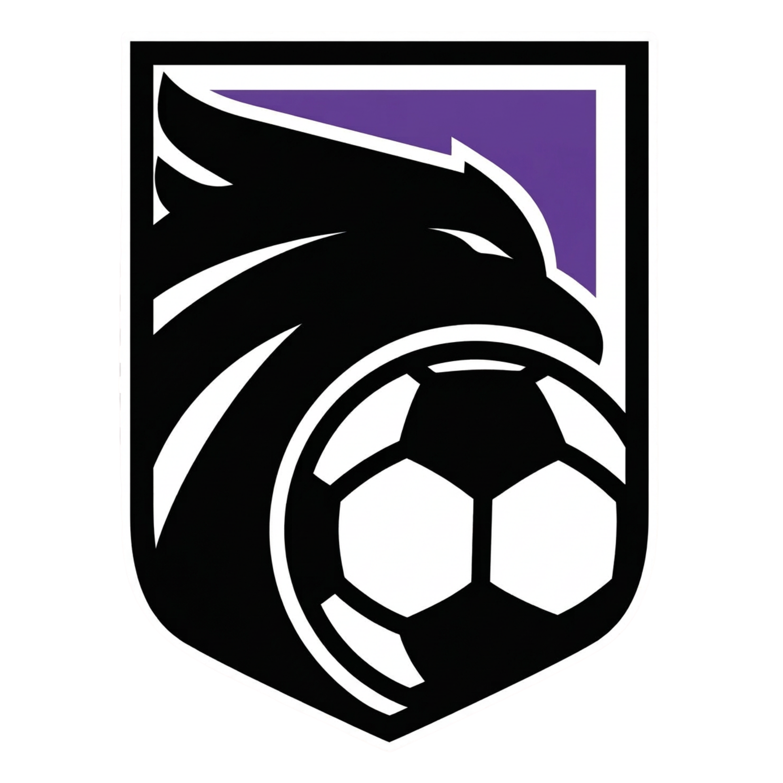 ACADEMIA FENIX